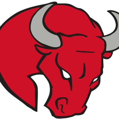 AR BULL 24 RC Thumbnail