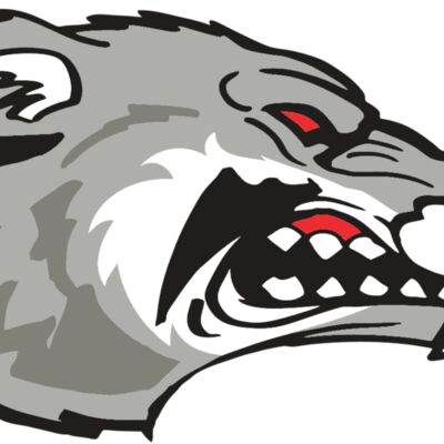 AR WOLVERINE 13 RC Thumbnail